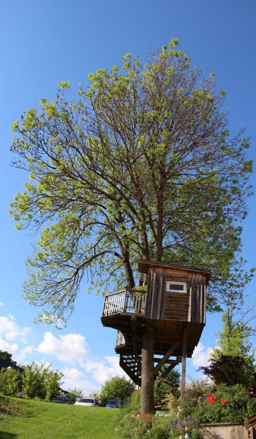 Apartmán Urlaub Am Bauernhof Weichselbaum Schloss Rosenau Exteriér fotografie